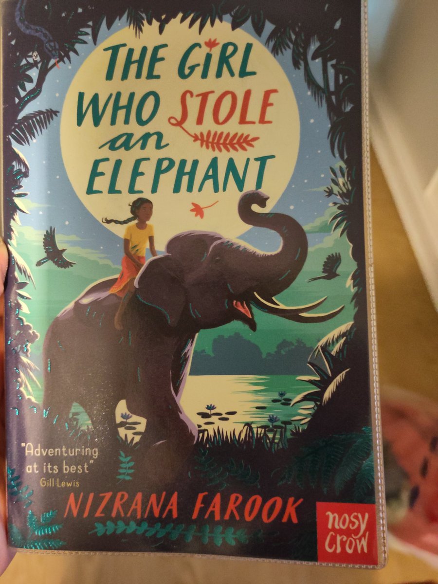 Over the last few months we've been enjoying "chapter books" and we've just finished the last one of these wonderful books by Nizrana Farook.  That sad feeling you get when you've read all the books. What on earth are we going to read now?!