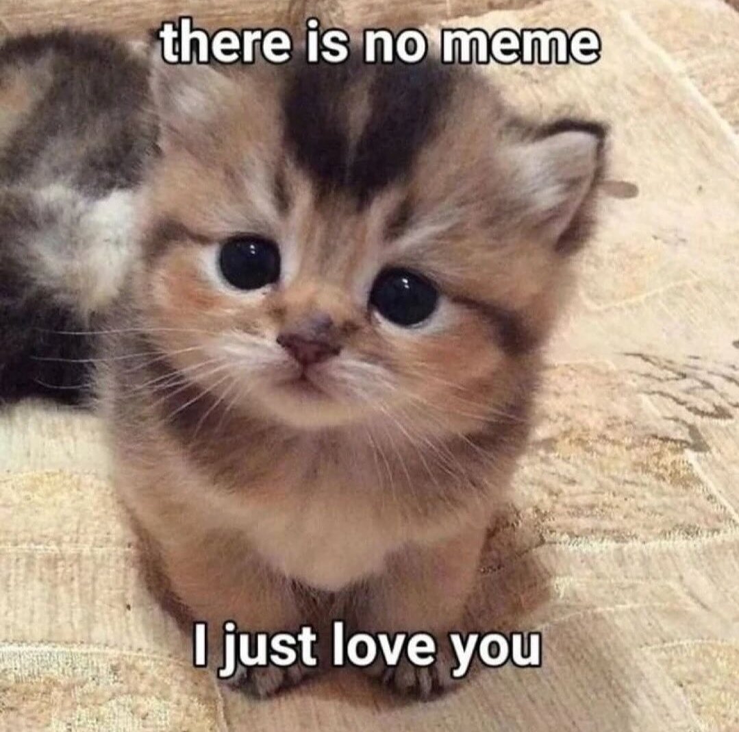 Catsillyness's tweet photo. Love you https://t.co/SYNnAGf4By