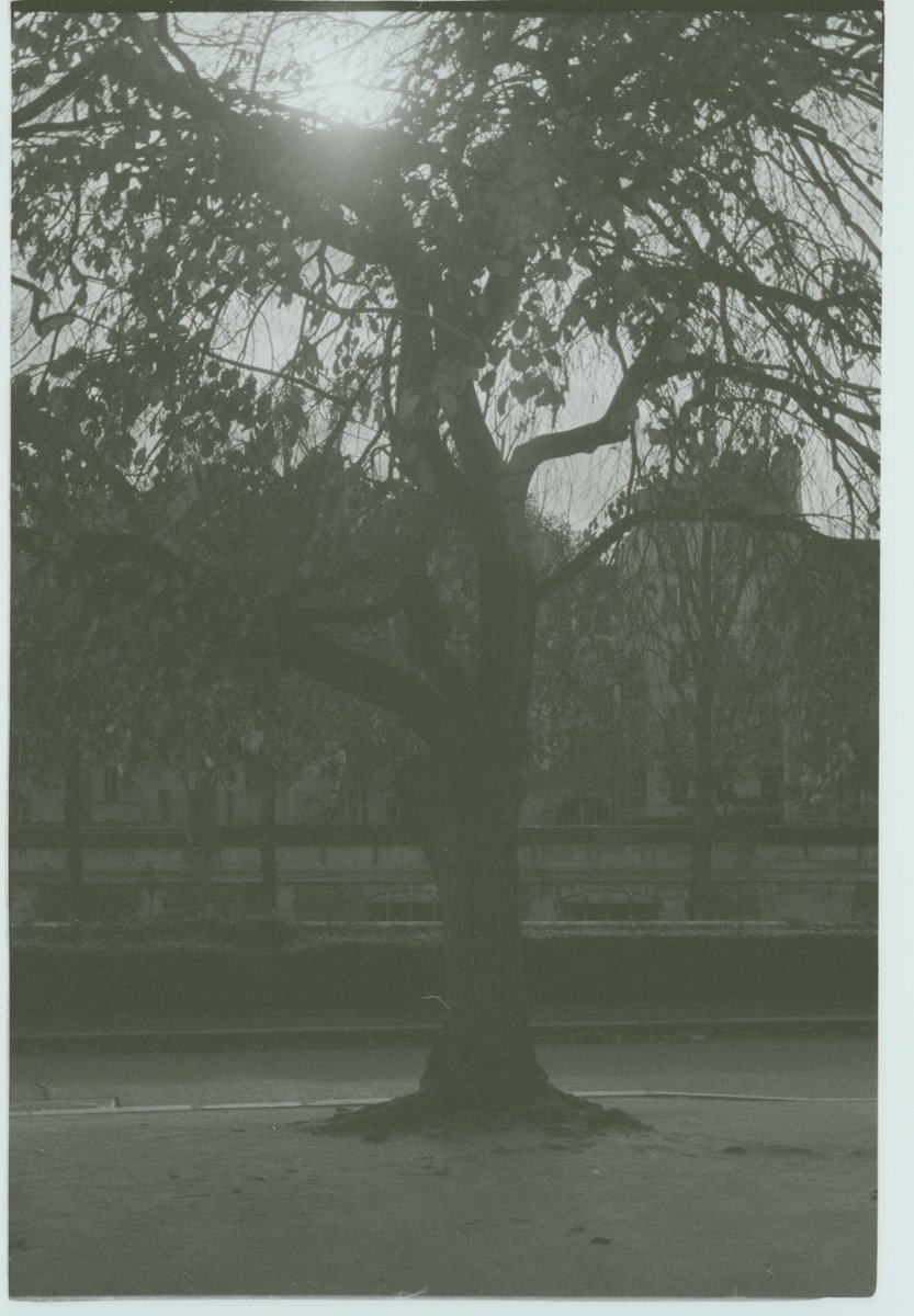 Notre-Dame, Paris. 2013
