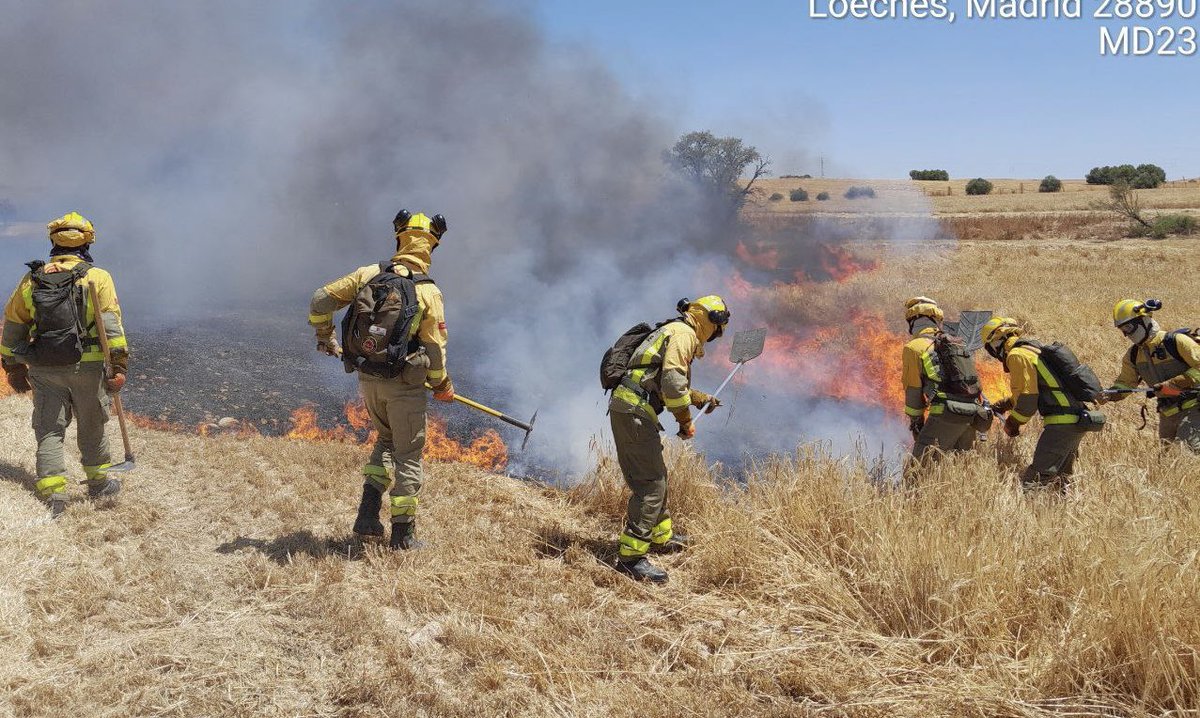 OscarBForestal's tweet image. Aquí han caído unas cuantas hectáreas...   

¡Buen trabajo a todo, en especial, a mi brigada que ha estado ahí desde el minuto 1, demostrando que los #BomberosForestales valemos muchisimo. Orgulloso de la vida que he elegido.   

#IFLoeches #BomberosForestalesCM.