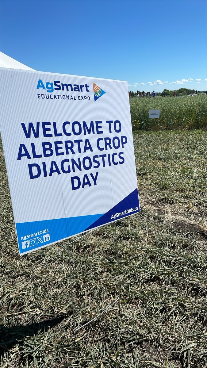 Alberta Grains tweet media