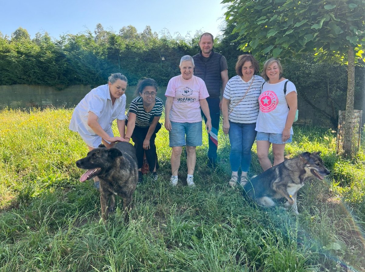 agatocan's tweet photo. El pasado 17 de julio se firmó un convenio de colaboración entre @CruzRojaEsp  y Gatocan para que los usuarios del proyecto CRECE que Cruz Roja está llevando a cabo con personas en situación de dificultad social, desarrollen labores de voluntariado en la protectora Gatocan. https://t.co/PQJ8Eec5Tb