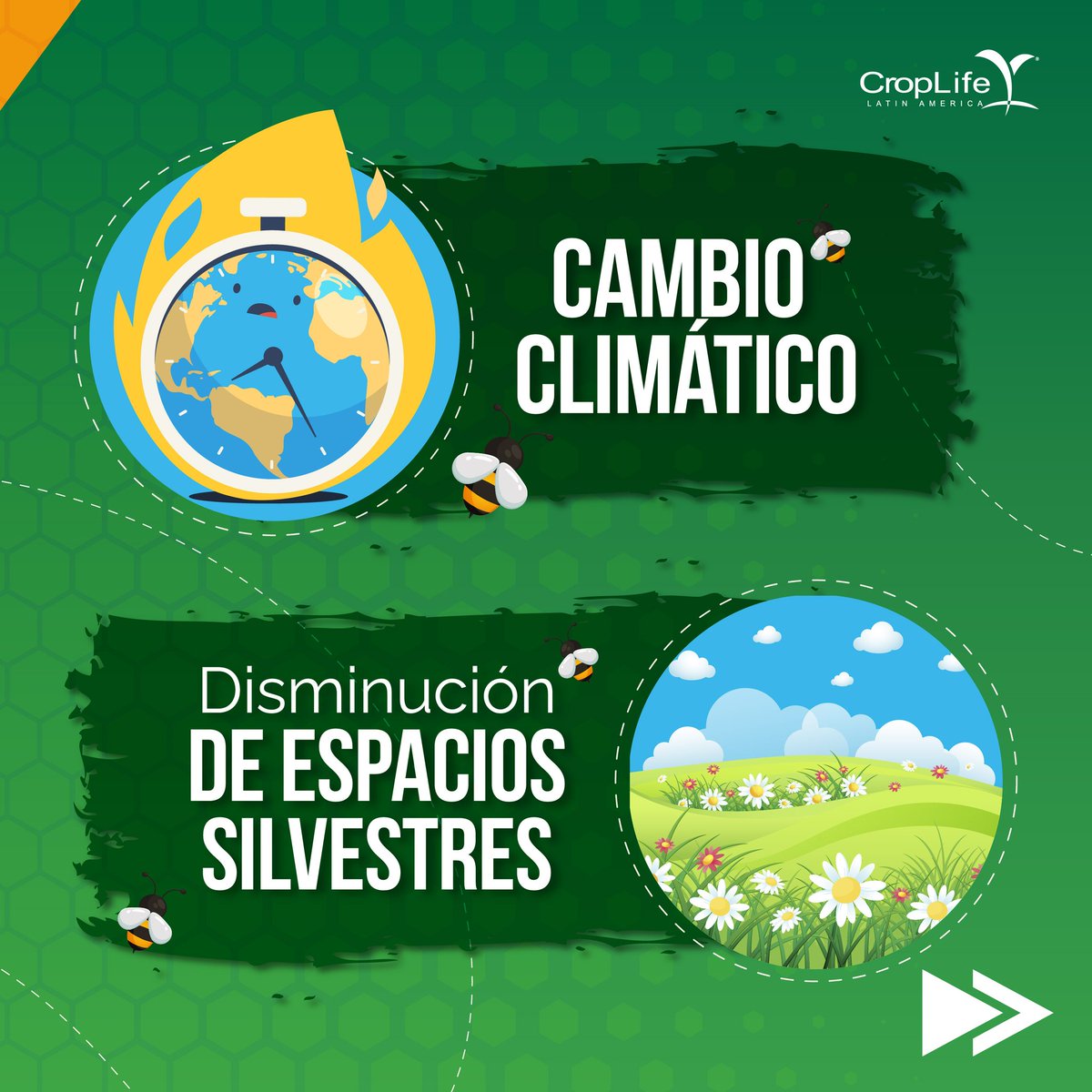 CropLife_La's tweet photo. Esta lista de causas puede acabar con ellas por eso debemos protegerlas  y no olvidar que su cuidado es una responsabilidad compartida. CropLife Latin America comprometido con la producción y el consumo responsable. Infórmate en: https://t.co/Mvz9Nixy6q https://t.co/C02qONMNRB