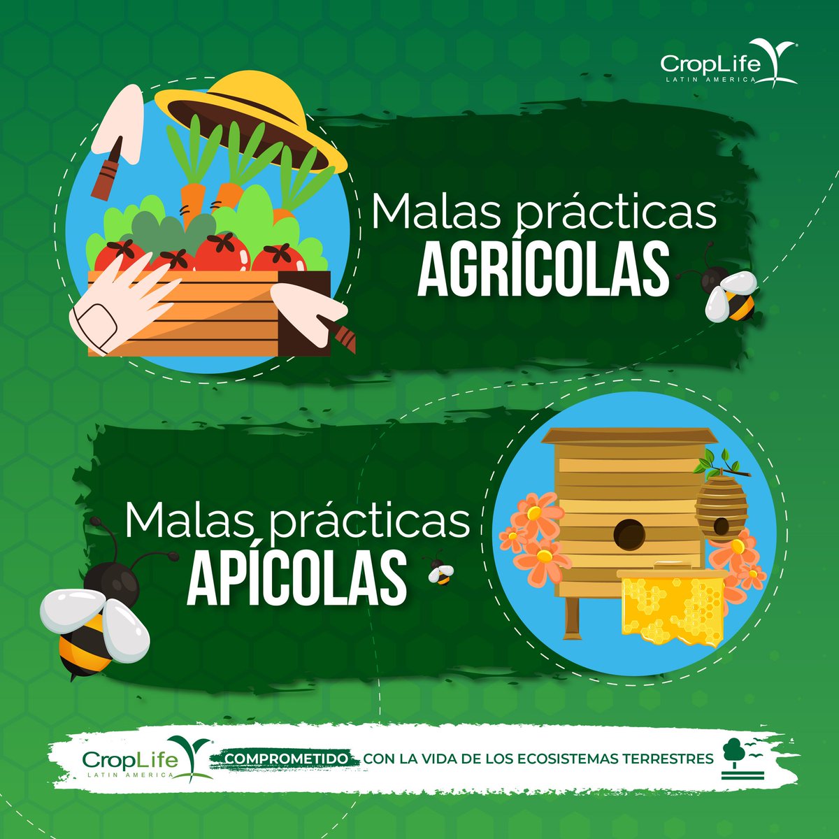 CropLife_La's tweet photo. Esta lista de causas puede acabar con ellas por eso debemos protegerlas  y no olvidar que su cuidado es una responsabilidad compartida. CropLife Latin America comprometido con la producción y el consumo responsable. Infórmate en: https://t.co/Mvz9Nixy6q https://t.co/C02qONMNRB
