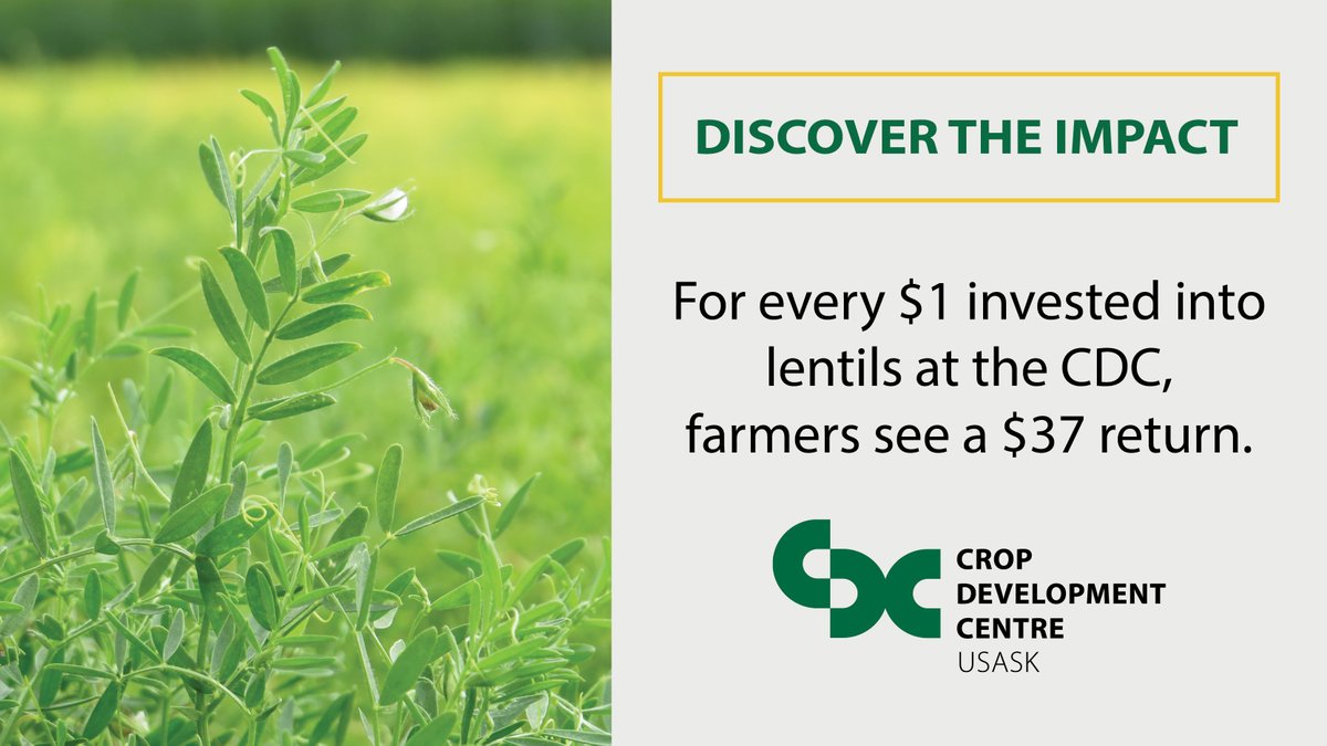 CDC_USask's tweet image. Did you know?
cdc.usask.ca/impact/impact.…