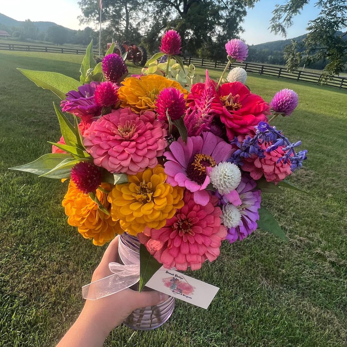 Meet Sweet Pease Berries &amp; Bouquets in Fleming County!

Follow Sweet Pease Berries and Bouquets on IG/FB (@sweetpeaseberriesandbouquets)

#KYGrownCutFlowers #KYGrownCutFlowerMonth #KYFlowerFarmer #LocalFlowers #farmerflorist