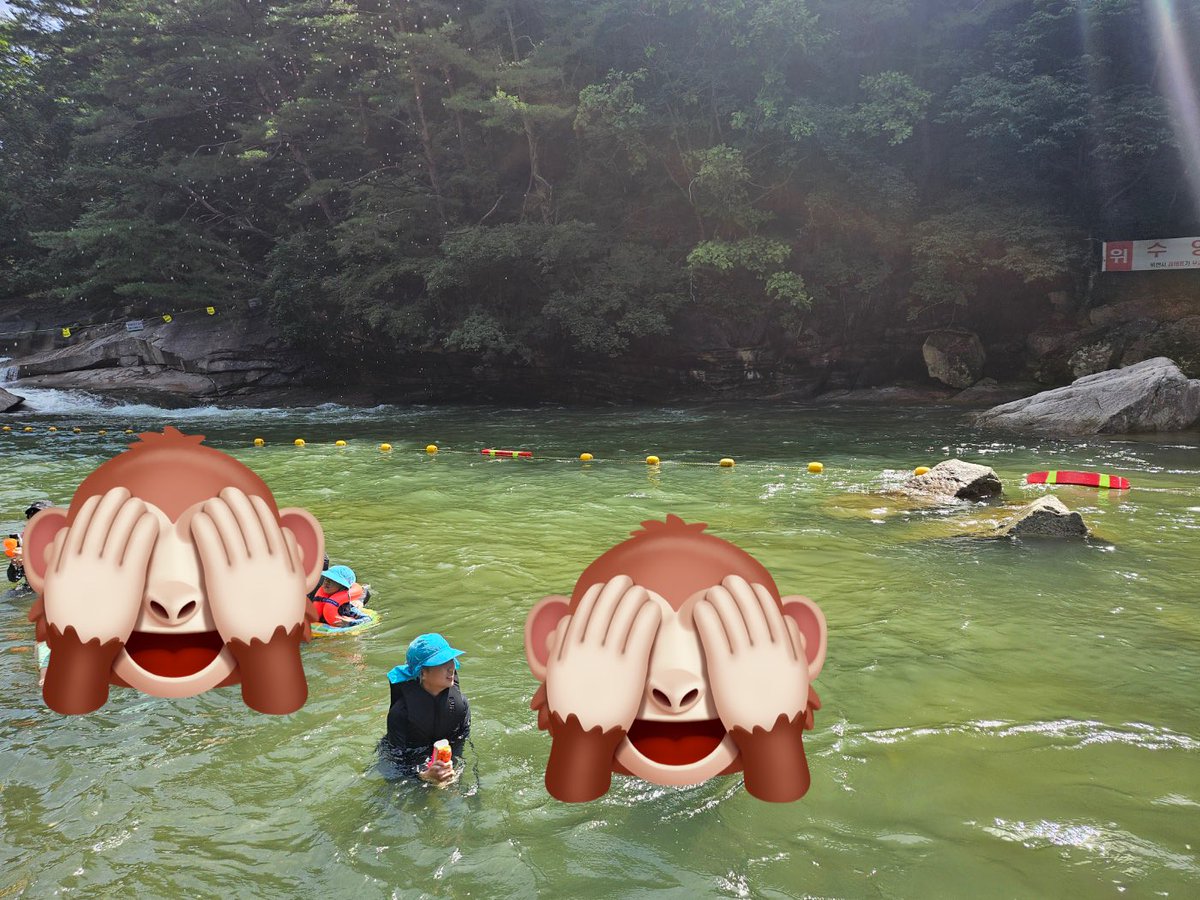 #여름휴가는 #속리산계곡 #가족다같이 
가족숫자가 20명이 안되서 아쉽다….