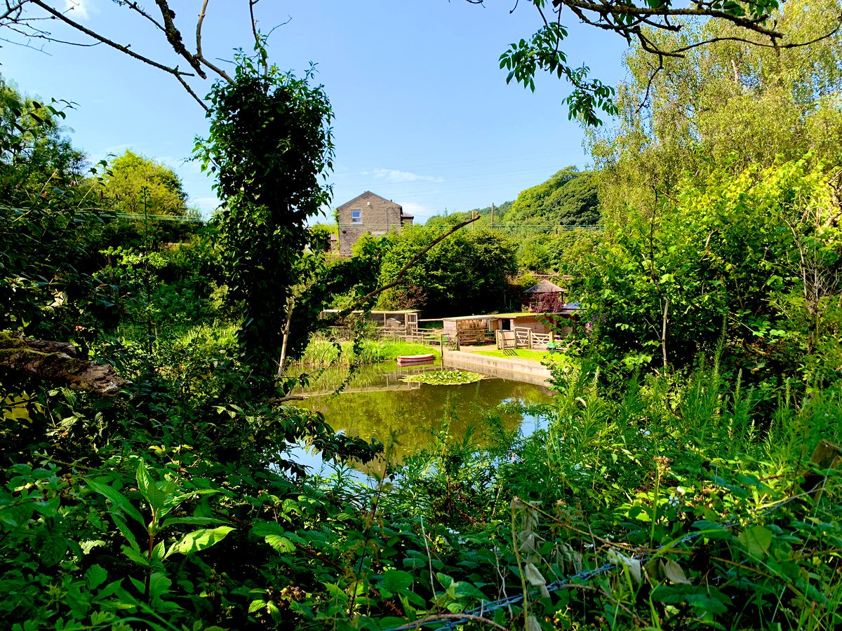 Move More Glossop tweet media