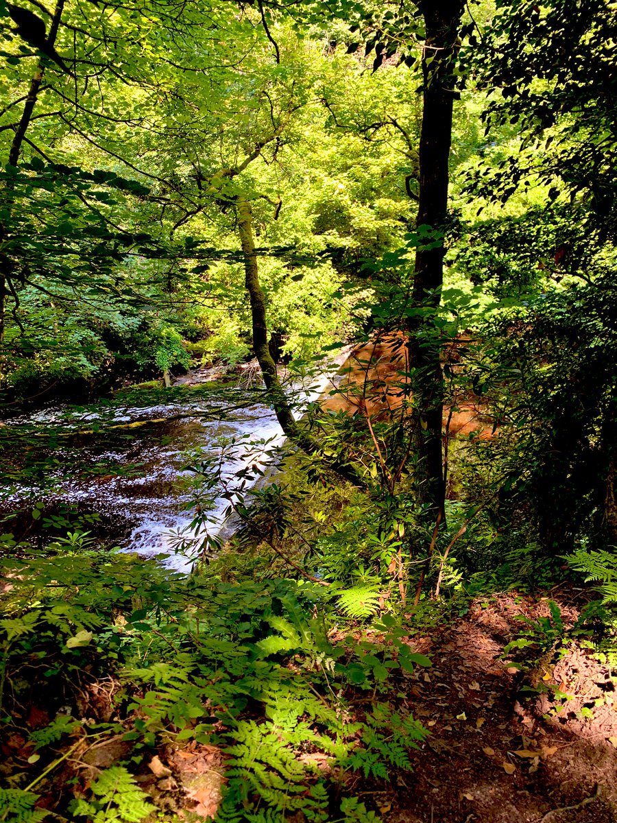 Move More Glossop tweet media