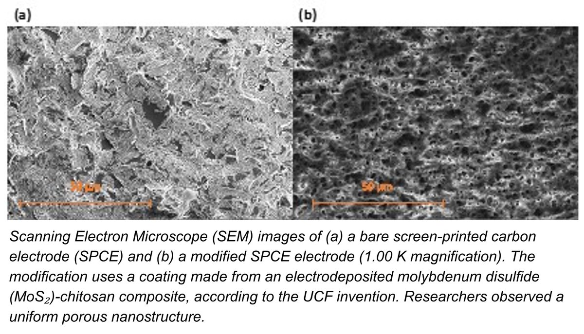 UCFTecTransfer's tweet photo. Transition Metal Dichalcogenide (TMD)-Biopolymer-Composite Sensor for Electrochemical Detection of Manganese Ions in Water
https://t.co/hZdZHgbZt4 https://t.co/pMIPIpu3XR