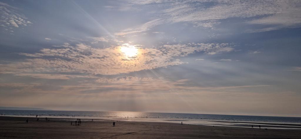 Esther Stimpson (She/her) tweet media