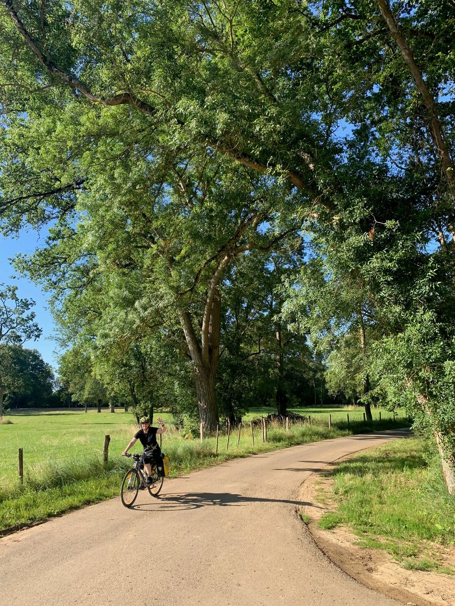 Team Modeshift tweet media