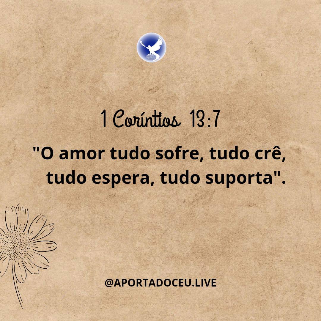 AparecidaLeal16's tweet photo. #JesusGrandReturn
Assim como Jesus... https://t.co/5pPLE0zN88