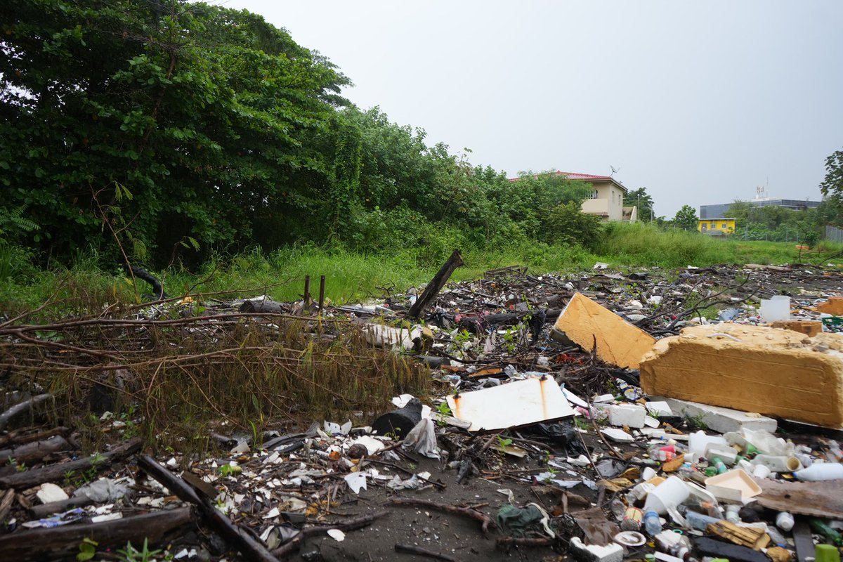 Trabajaremos en un plan junto al <a href="/PanamaLaVieja/">Sitio Arqueológico Panamá Viejo</a> y <a href="/audubonpanama/">Audubon Panamá</a>, que incluirá catalogar la vida silvestre del área, mejorar la seguridad, crear senderos naturales y realizar operativos de limpieza permanentes. 3/3🧵

#MiAmbienteVuelveAlCampo🌱
#GobiernoDeUnidadNacional🇵🇦