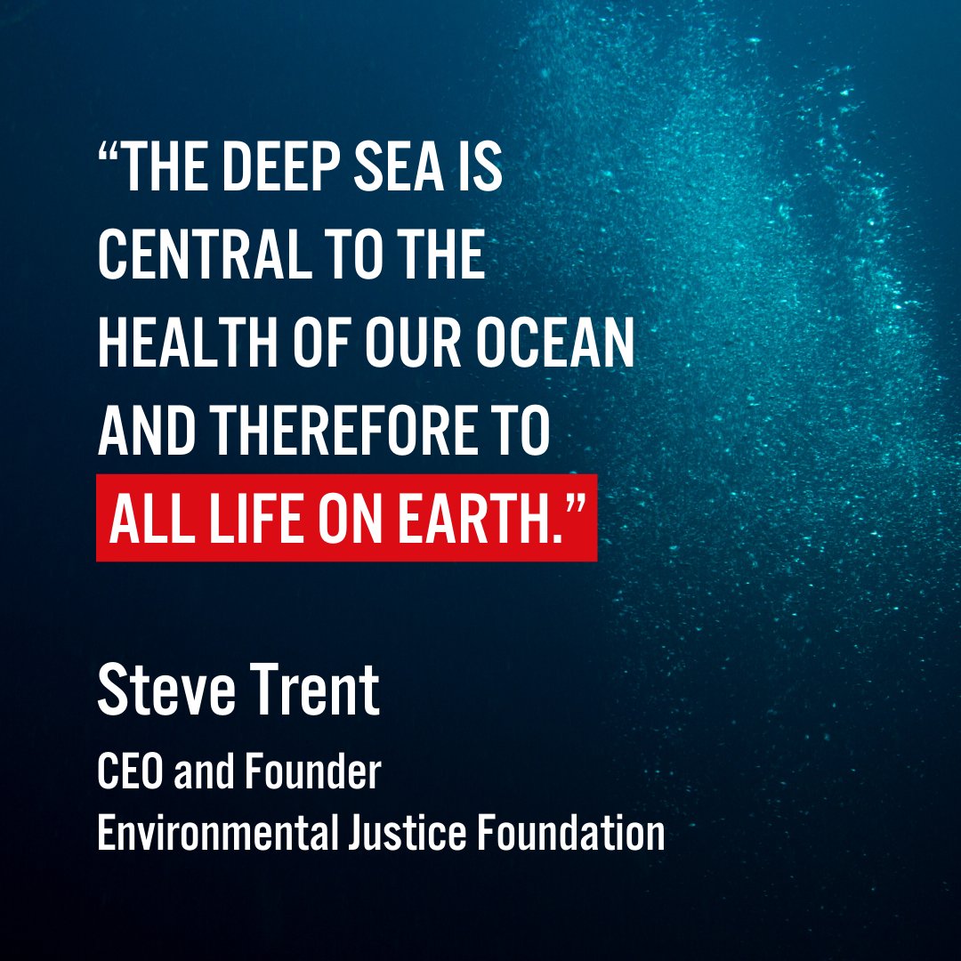 These governments are making it clear that they are taking the urgent warnings from the scientific community seriously.

We welcome them standing against the rushed introduction of a devastating industry and call on other countries to follow suit.