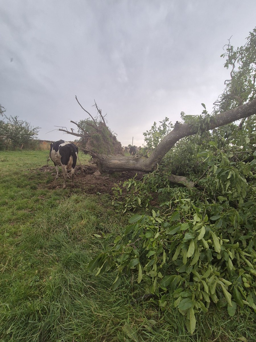 Triste spectacle 🥹