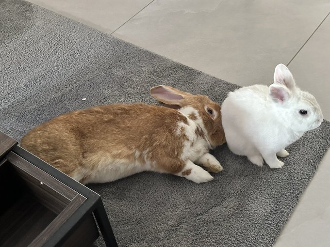 Watch Ruby's leaked NSFW photo on TwXstars