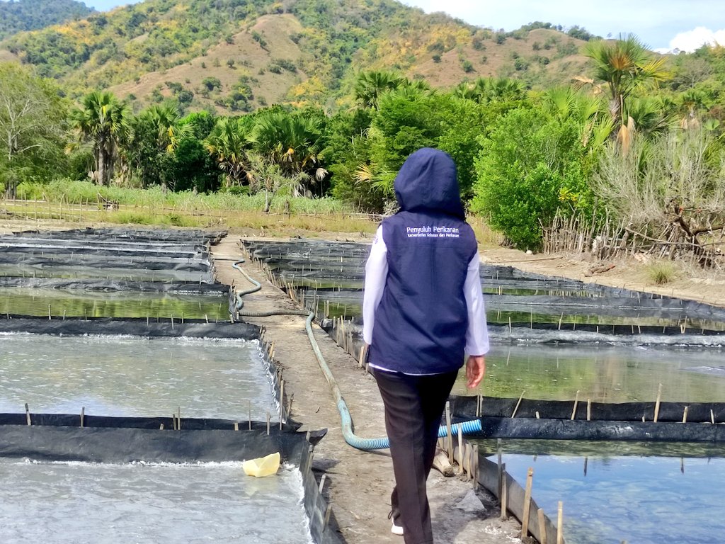 riatnichen's tweet photo. Senin,15/07/2024, Riatni A.H. Husen,S.Pi Luhkan Kab. Ende Melakukan listing dan updating data garam Tahun 2024 di Desa Wewaria dan Desa Magekapa
#GiatLuhkanSatminkalGONDOL #Ende #BijakMengelolahLaut @bppsdm_puslatkp @bppsdm_gondol @ditjenpkrl https://t.co/Sybc43vfHf