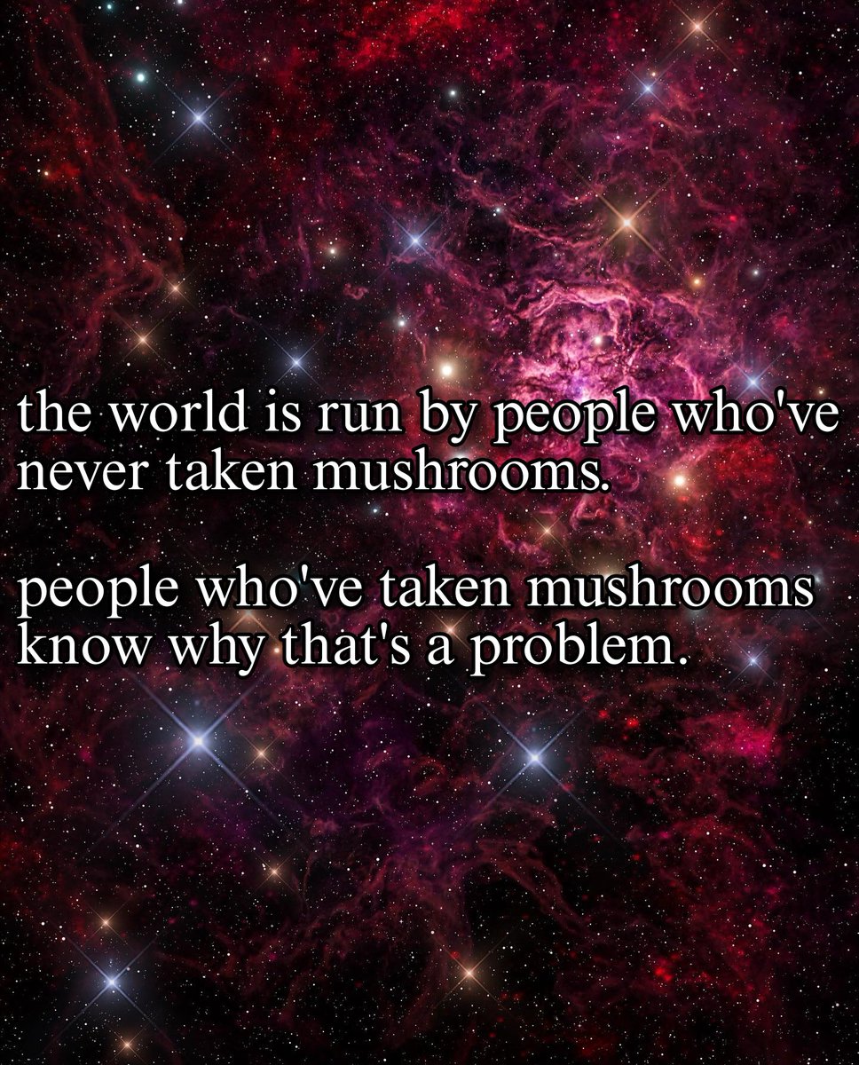 🍄🌌