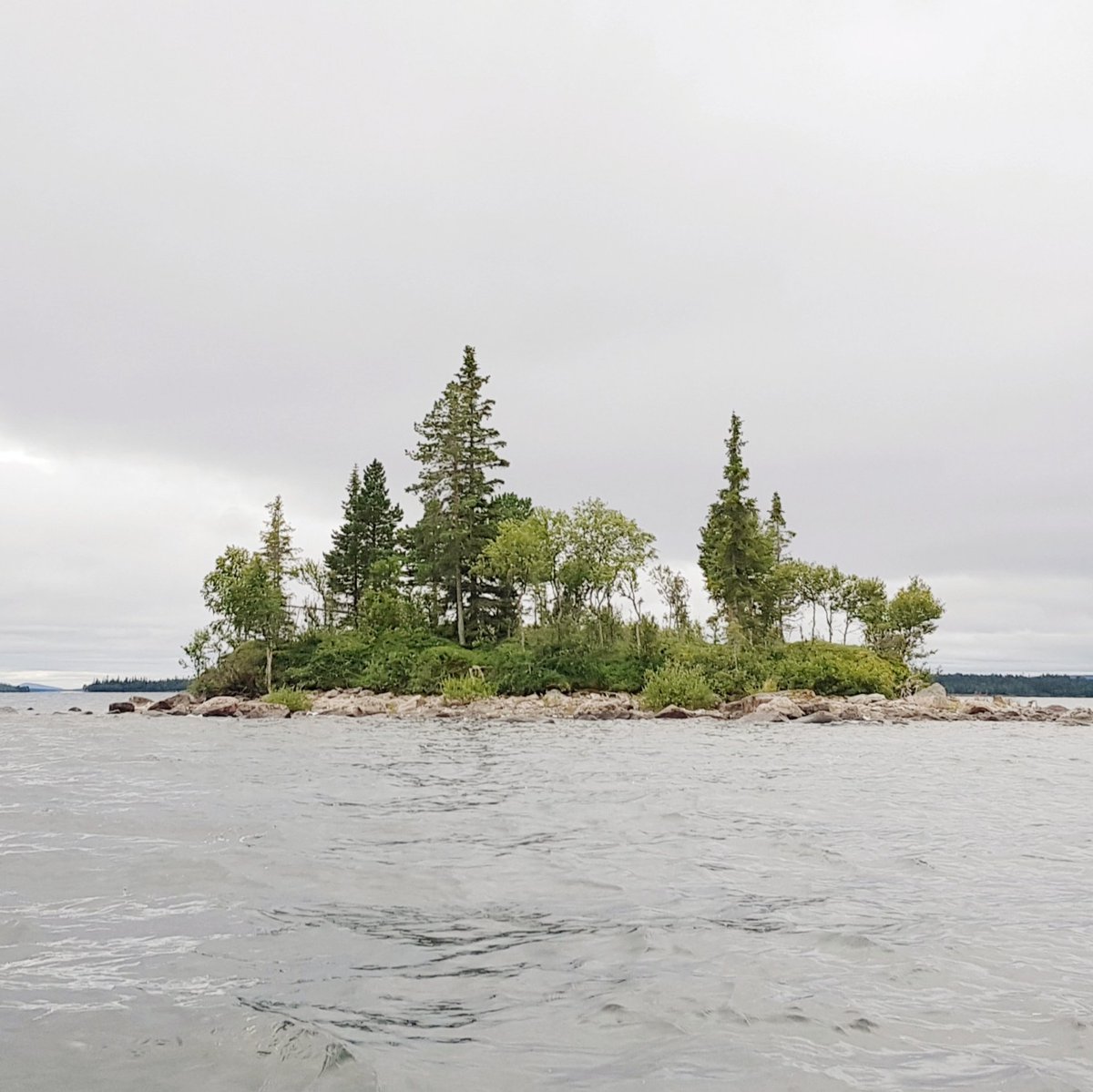 Paul Kardol tweet media