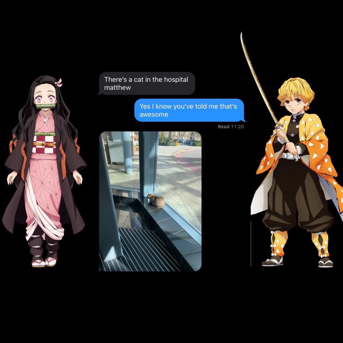 𝙉𝙚𝙯𝙪𝙠𝙤 . (@demzukoz) on Twitter photo 