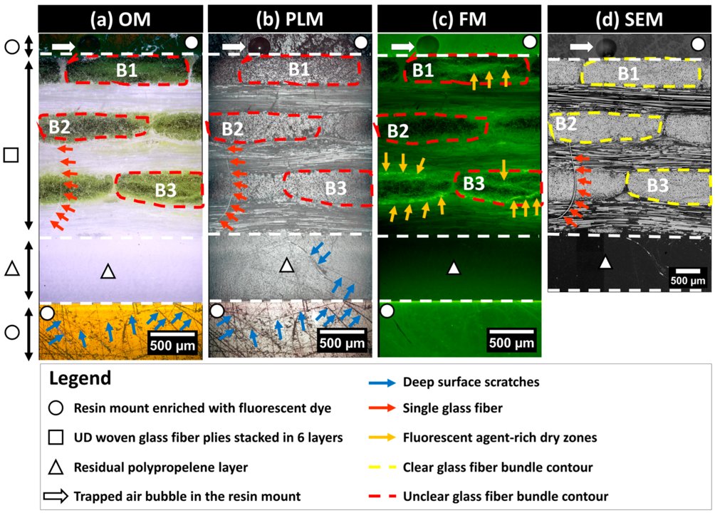 P_Krawczak's tweet image. Intra-bundle impregnation in partially impregnated glass/polypropylene #composites assessed with 2D extended-field &amp;amp; multimodal imaging approach
📰@IMT_NordEurope

mdpi.com/2073-4360/16/1… @Polymers_MDPI
#PolarizedLightMicroscopy #FluorescenceMicroscopy #ScanningElectronMicroscopy