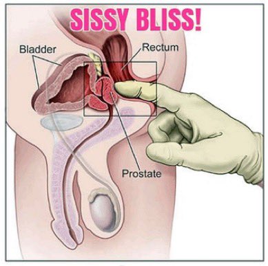Ka45109Kate's tweet photo. Sissygasm is not a myth! 

The main thing in this matter is proper stimulation of the prostate and the proper level of arousal
Dm for my sissy test 
Approach with your tribute https://t.co/su0Nlzu2yE