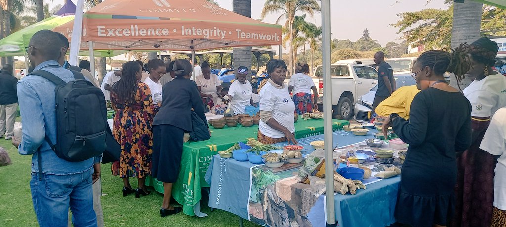 Today at the
#RegionalAgroecologyConference2024, the voices of many farmers at various stages of transitioning to #agroecology were heard through their participation in the ongoing discussions and exhibitions at the marketplace.