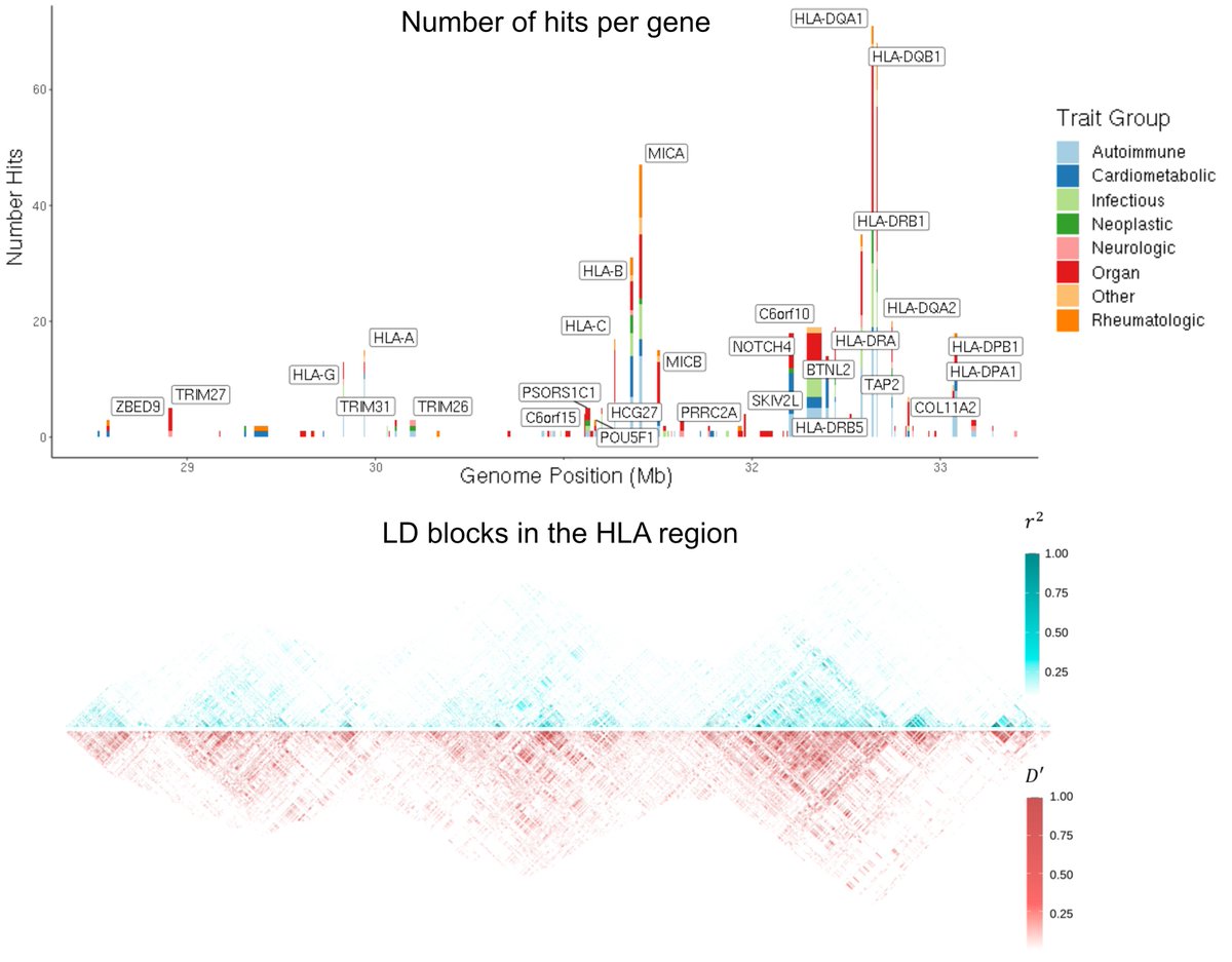Courtney Smith tweet media