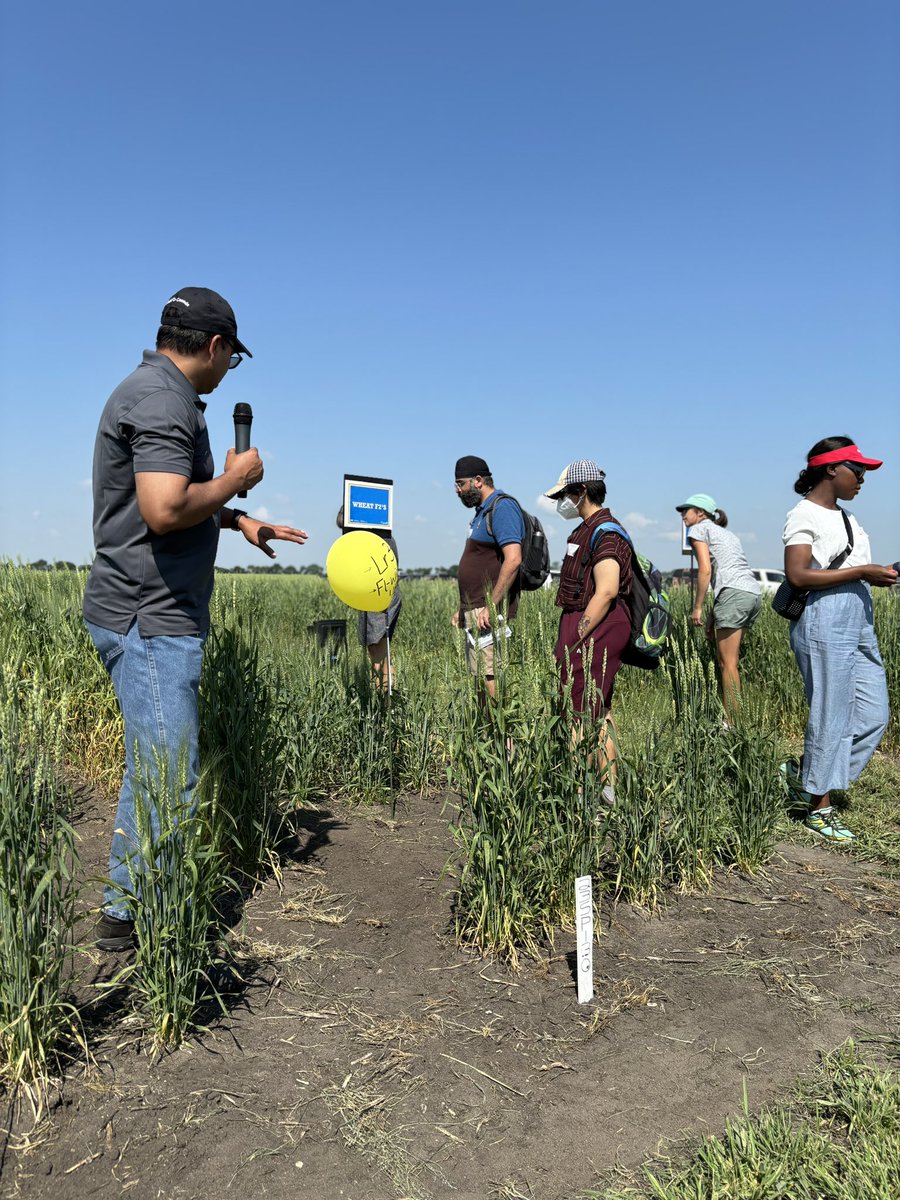 “The use of technology depends on the needs of the program—staying ahead of the curve with the integration of new traits.”@SantoshAAFC #wheatgenetics <a href="/AAFC_Canada/">AAFC Canada</a> Oat and Wheat Tour <a href="/SaskWheat/">Sask Wheat</a> <a href="/mb_cropalliance/">Manitoba Crop Alliance</a> <a href="/AlbertaGrains/">Alberta Grains</a> #WestCdnAg #CdnAg