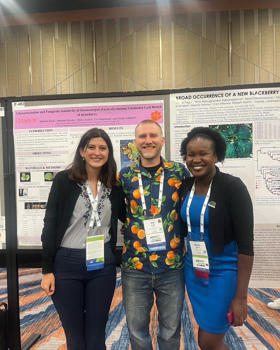 Working with berry viruses make our heart sparkles ✨🤩!