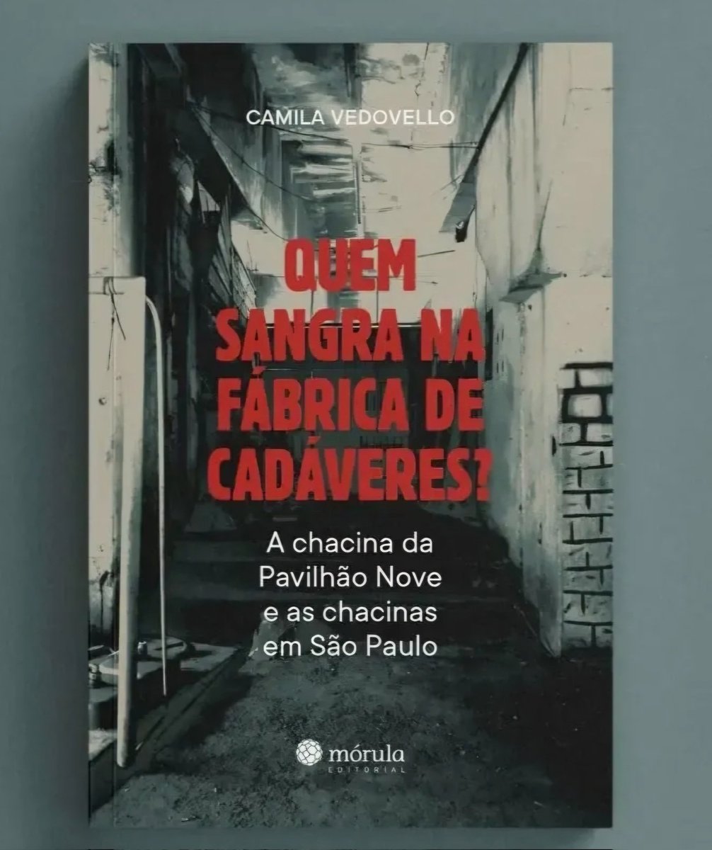 Camila Vedovello ~ Ceasefire Now tweet media