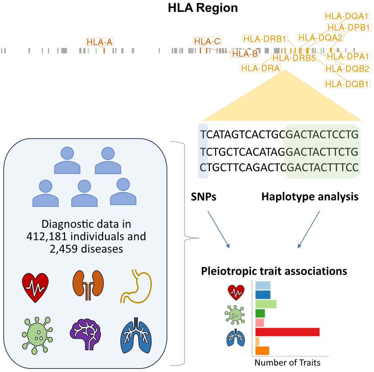 Courtney Smith tweet media