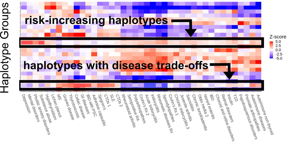 Courtney Smith tweet media