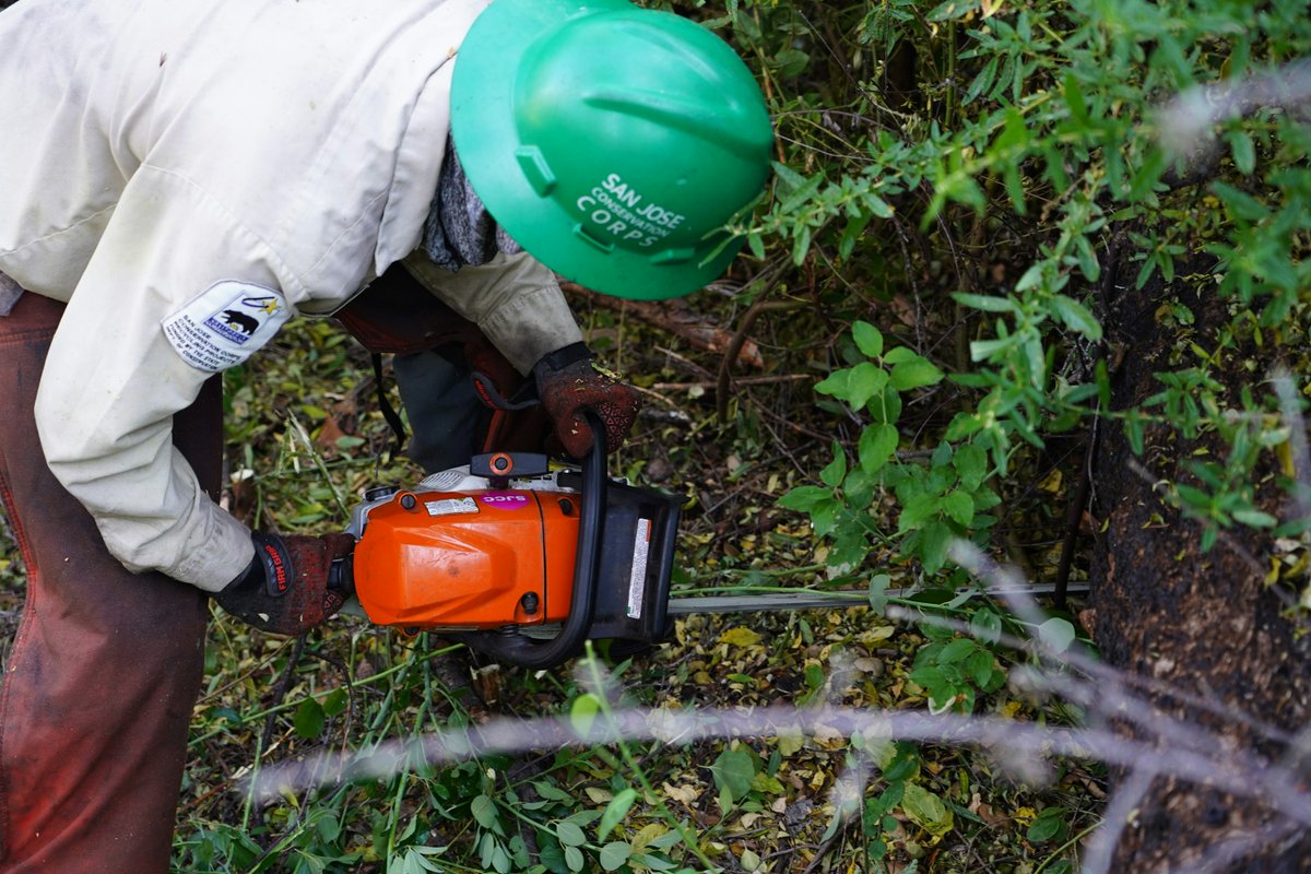 San Jose Conservation Corps + Charter School tweet media