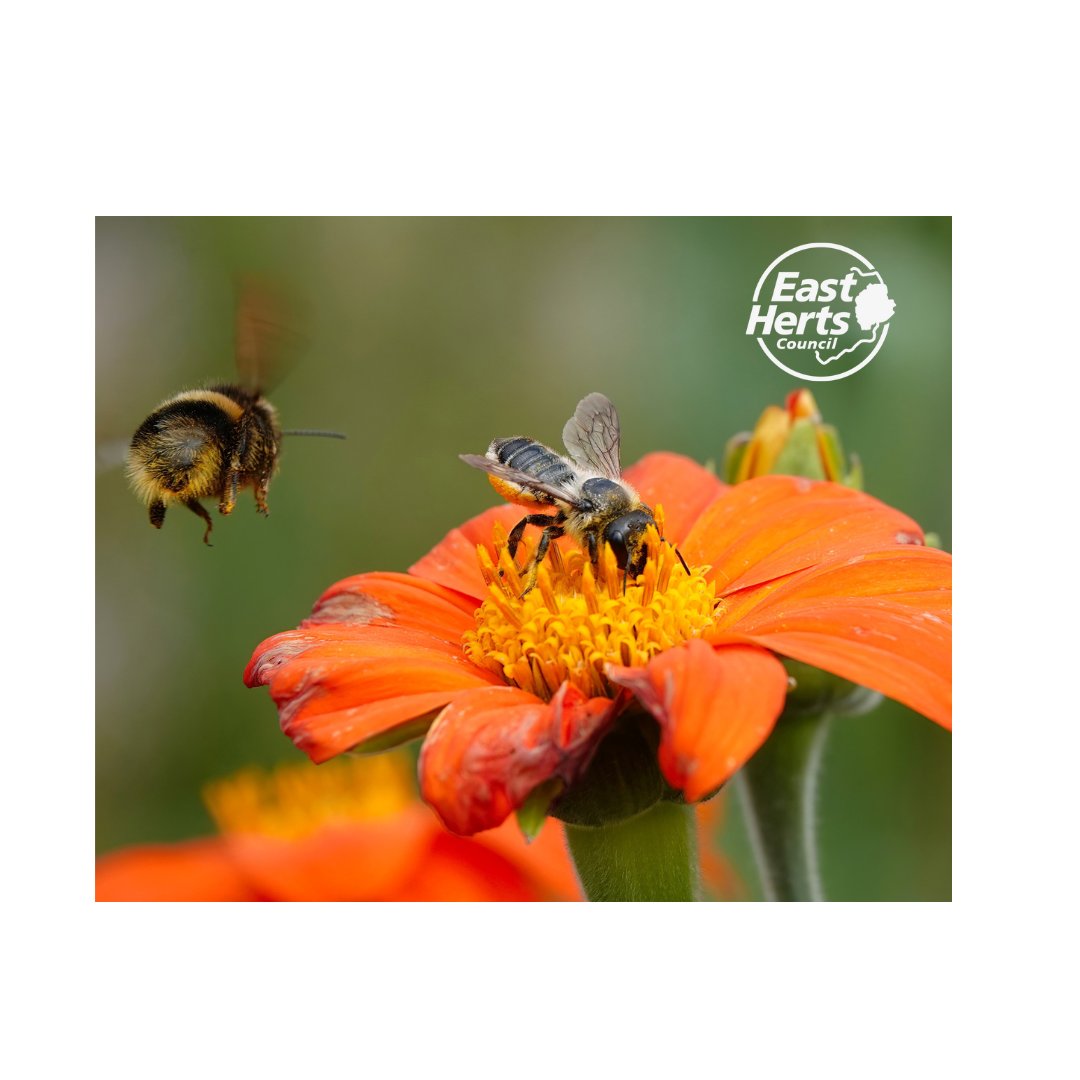 East Herts Council tweet media