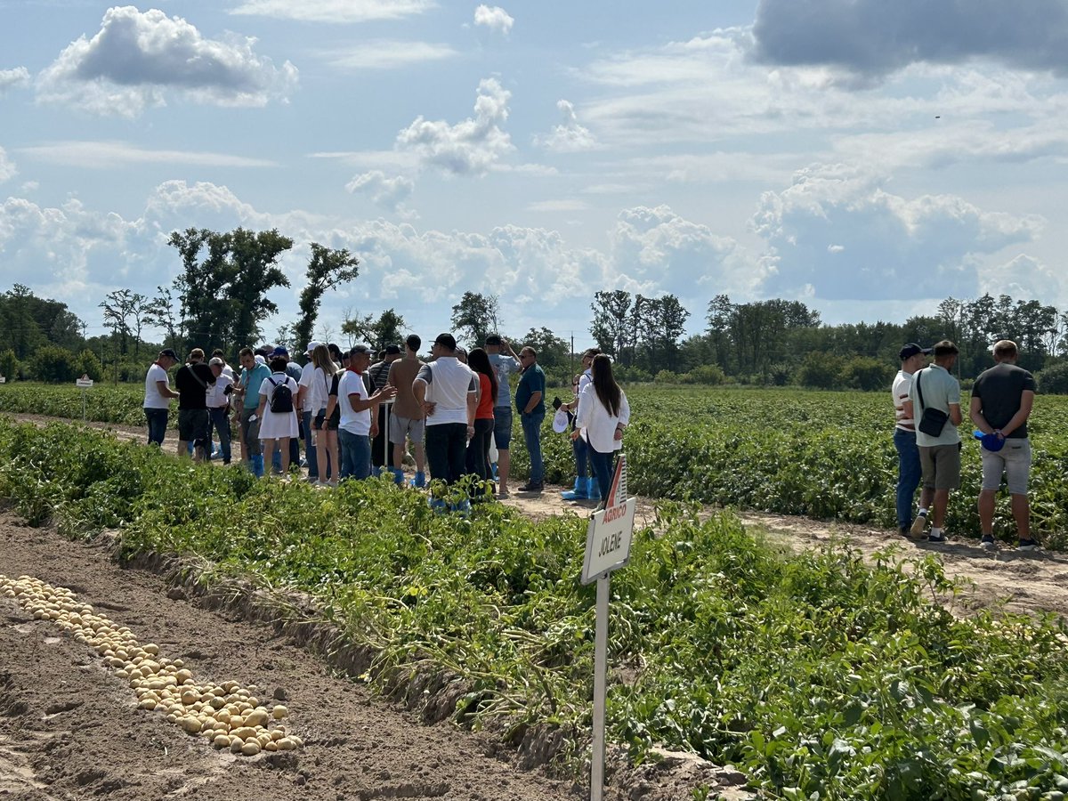 AgriKyiv's tweet photo. The #climatesmart potato centre contributes to #foodsecurity by together with 3.000 farmers growing 53 mln kg of potatoes. Also the 🥔 sector is impacted by the war. Already for a long time the 🇳🇱  supports the sector in 🇺🇦 and we will continue doing so https://t.co/9CxecK1Fgw https://t.co/lRj1upDF6A