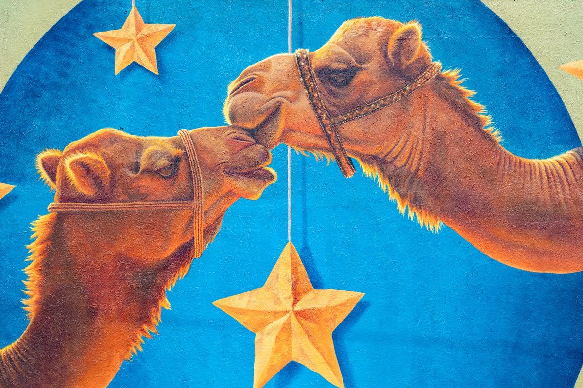 Springs411's tweet image. Don&apos;t overlook these #COSattractions
May Natural History Museum (Bug Museum) coloradospringsbugmuseum.com
Money Museum
@MoneyMuseumCS 
Art on the Street Self Guided Tour downtowncs.com/arts-and-cultu…
Ghost Town Museum
@GhostTownMuseum
Pioneers Museum
@COSMuseum 
#Tourist #COSart #COShistory