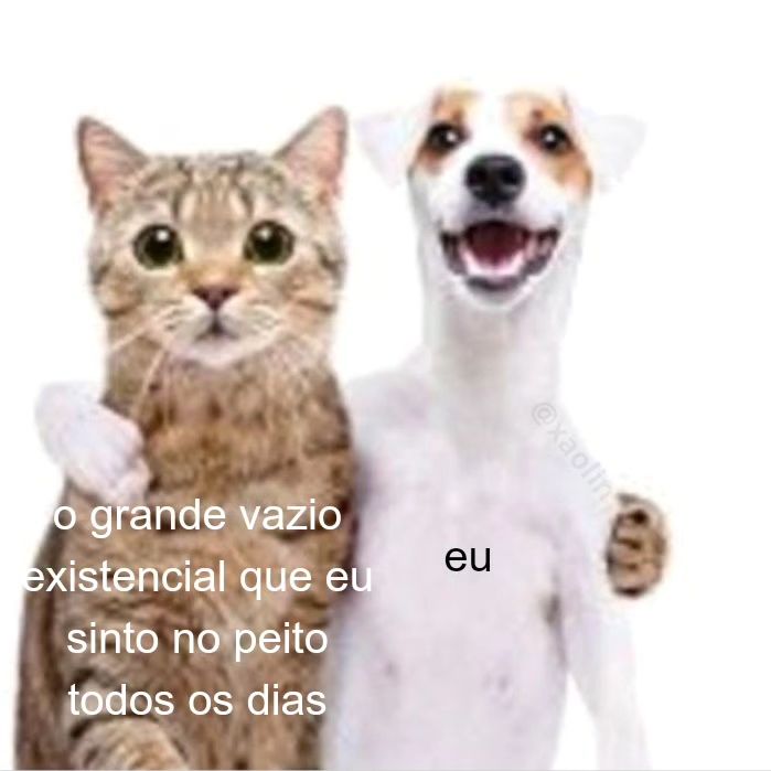 perfil dedicado a gatinhos e peitos (@odeiootaco) on Twitter photo 