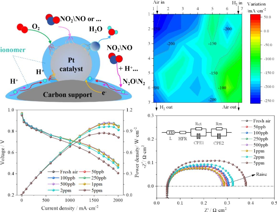 Editor's Choice: Study on the effect of NO2 impurity gas on the performance and local current density distribution of PEMFC (Lin et al., Tongji University)

sciencedirect.com/science/articl…
