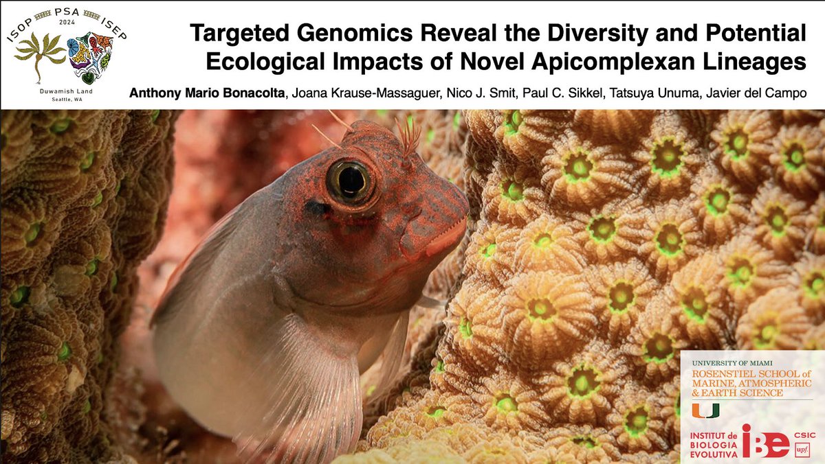 For those attending PSA-ISOP-ISEP, I will be presenting my research on novel Apicomplexan lineages tomorrow morning at 10:30 AM (Ecology I section) in HUB 332!