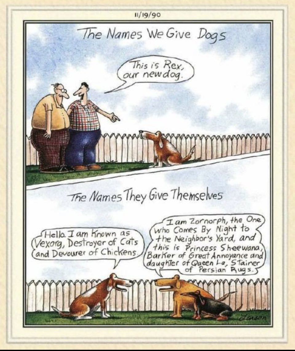 jnewhawk's tweet photo. @EsotericCD We had a dog named Rex ❤️ https://t.co/6tCxeSK69Y