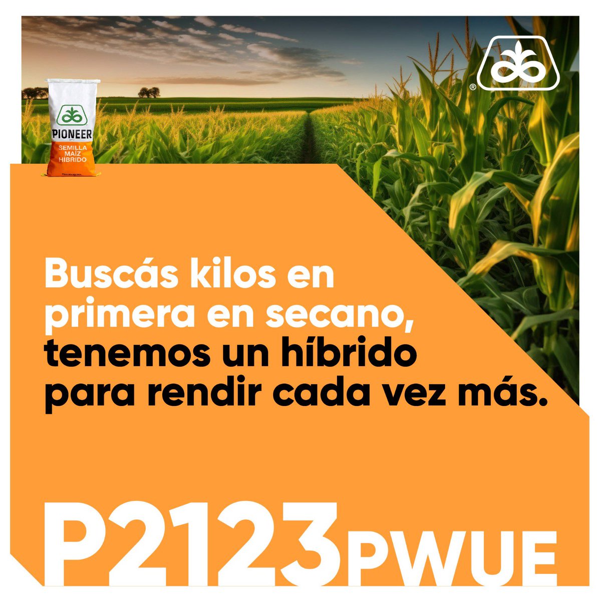 Con P2123 PWUE, buscá más kilos en primera, con la mejor tecnología. #PowerCoreUltraEnlist #ExperienciaPioneer