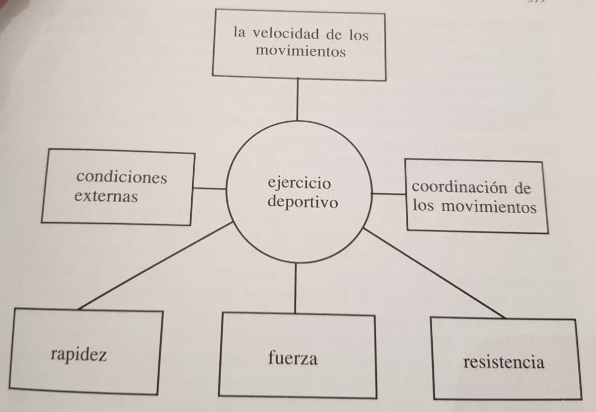 RunNGoSports's tweet photo. Las semanas de la fe https://t.co/jUONWcEzY7 vía @aprendeacorrer https://t.co/khWwz6TL4I