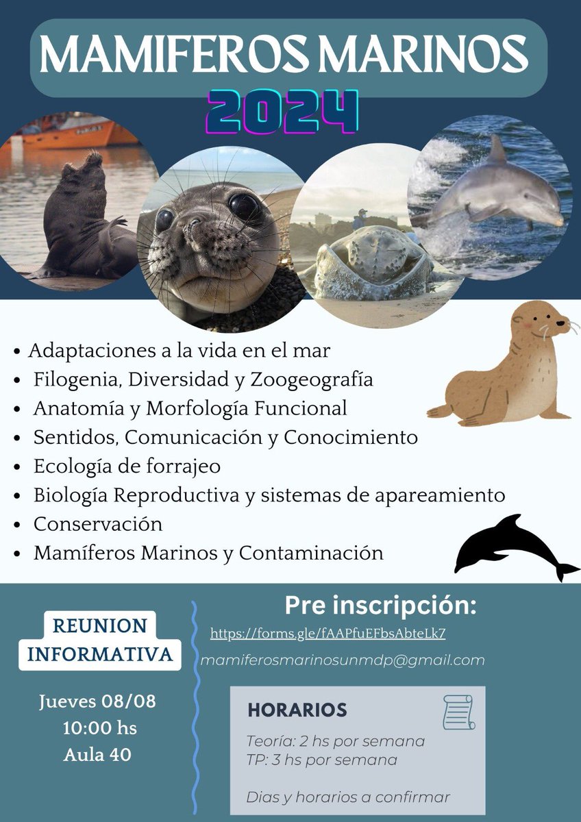 Dra Gisela Giardino tweet media