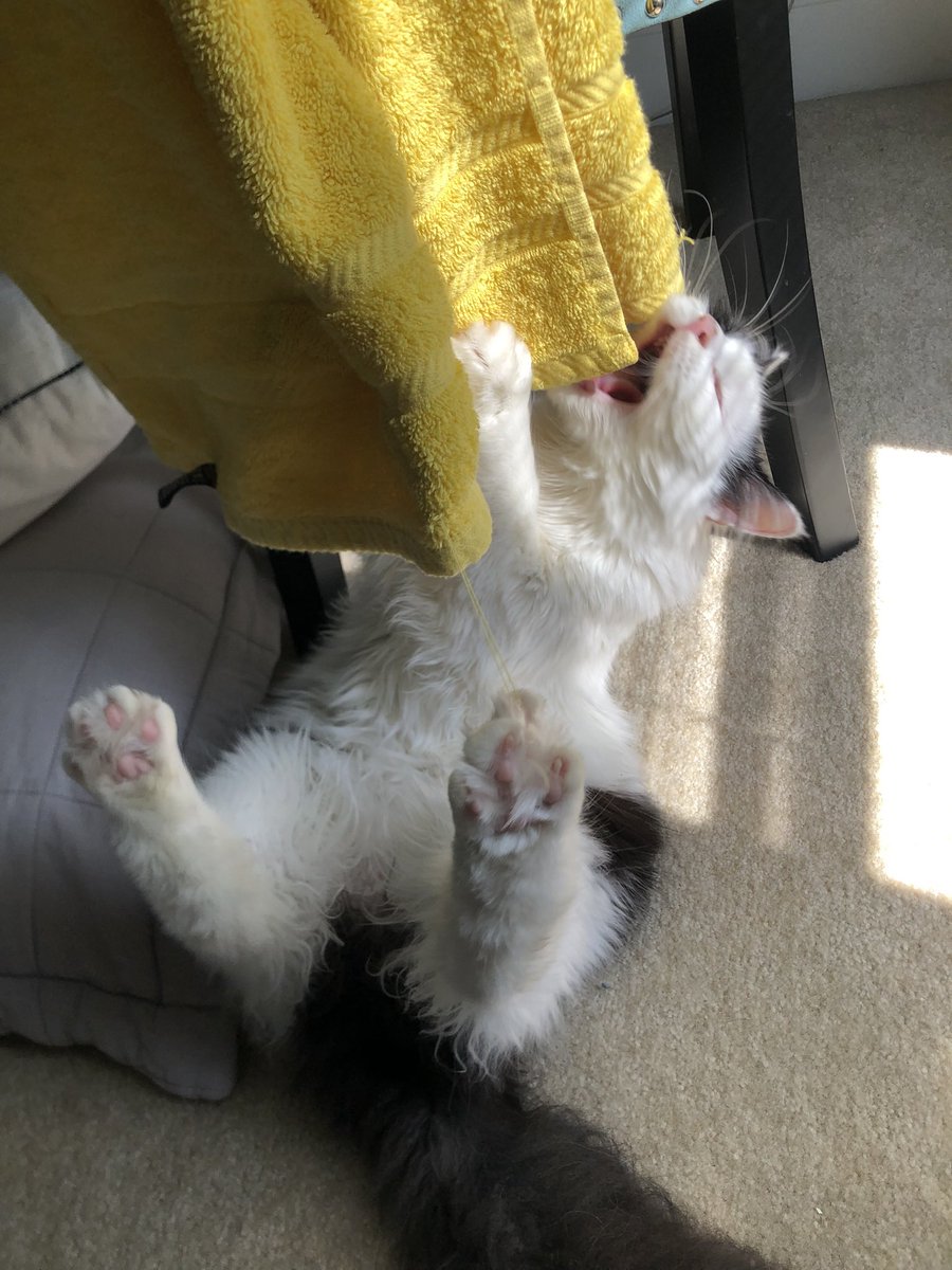 This thing is one of my possessions