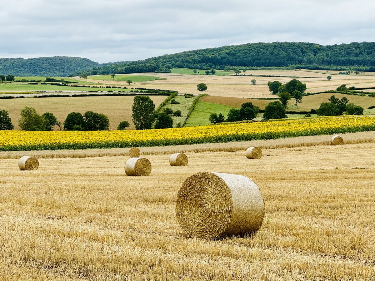 Limastte's tweet image. SantiagodeCompostella 2024, geëindigd in #Vezelay 2023, 1e week hier weer gestart, daarna #asnois  #varzy #arbourse #chateritysurloire #bondonnat #Brezy #Bourges : het was heet, gem. 33&amp;gt;, vele ontmoetingen, veel nationaliteiten #pelerin #pelgrim nog 2 1/2 week te gaan #limoges