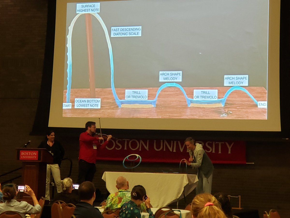 How do you convey the fluke strokes, side rolls, swimming movements of #whale foraging dives to someone who is visually impaired? Terry Wolcowicz, Sound Explorations combines sculpture texture, shape w/ music to represent #marinescience data. Inspiring! #NMEA2024 #inclusion #STEM