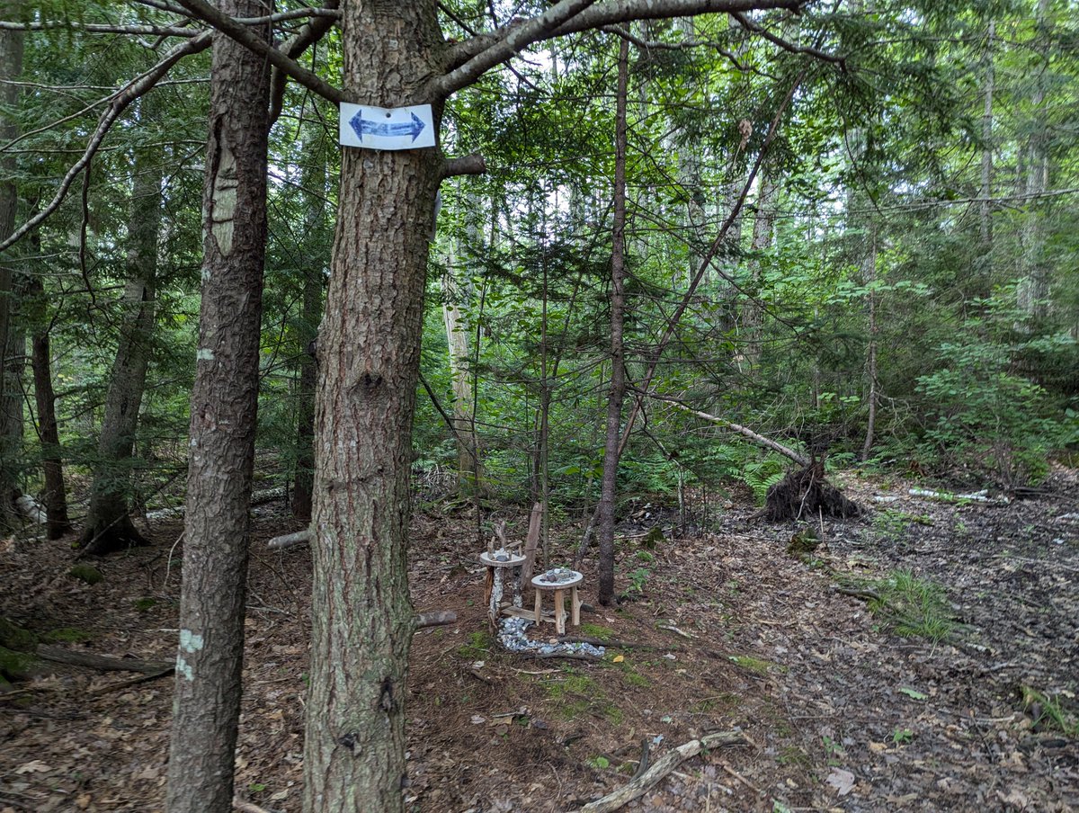 Turil Cronburg tweet media