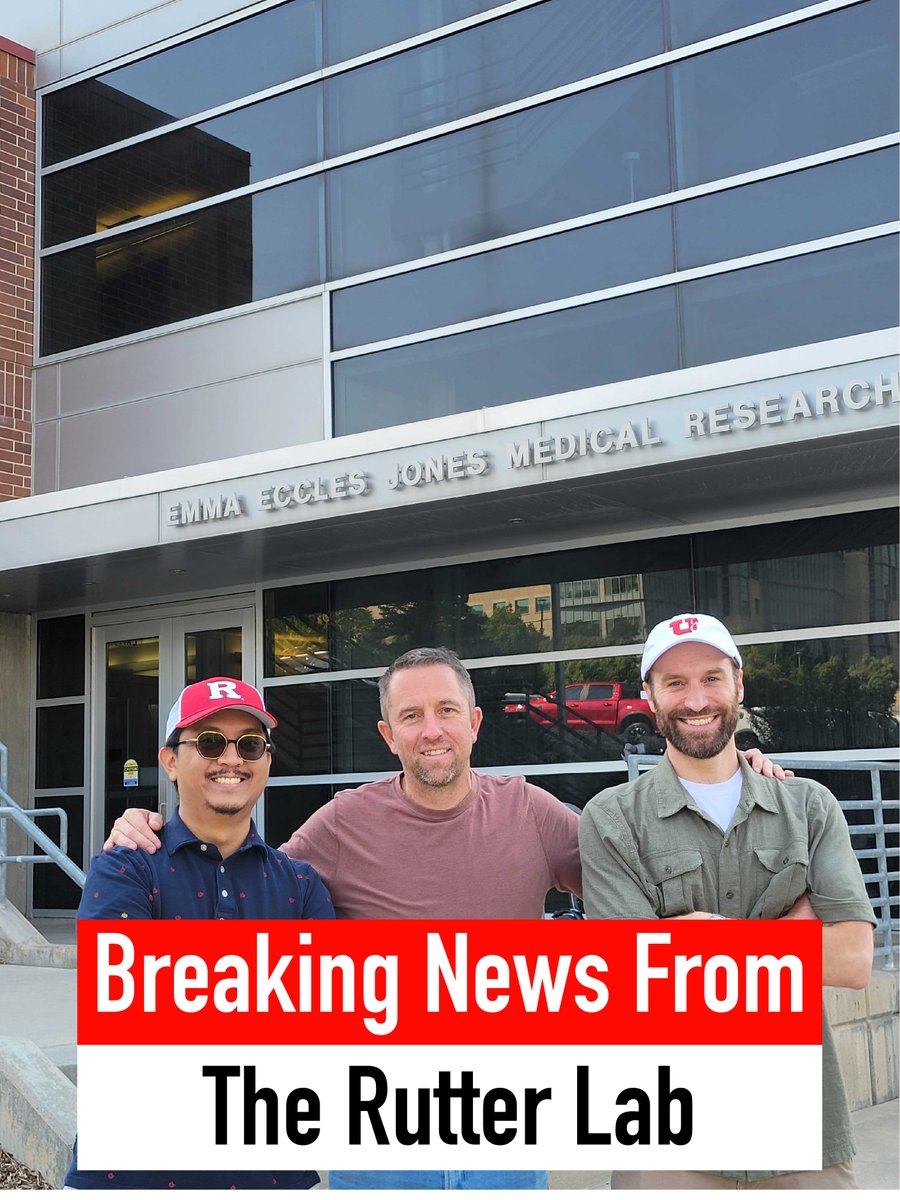 Rutter Lab tweet media
